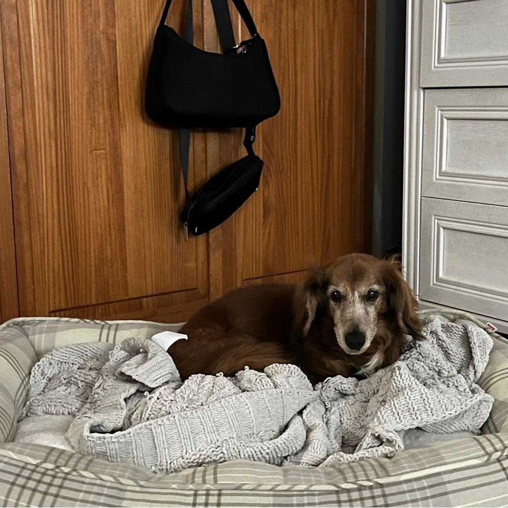 Meet your Posher, Emily